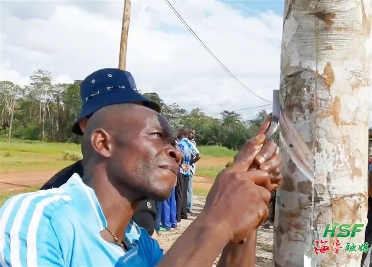 3252ca0a4c3d462fb2dbf47eb83aa5cf