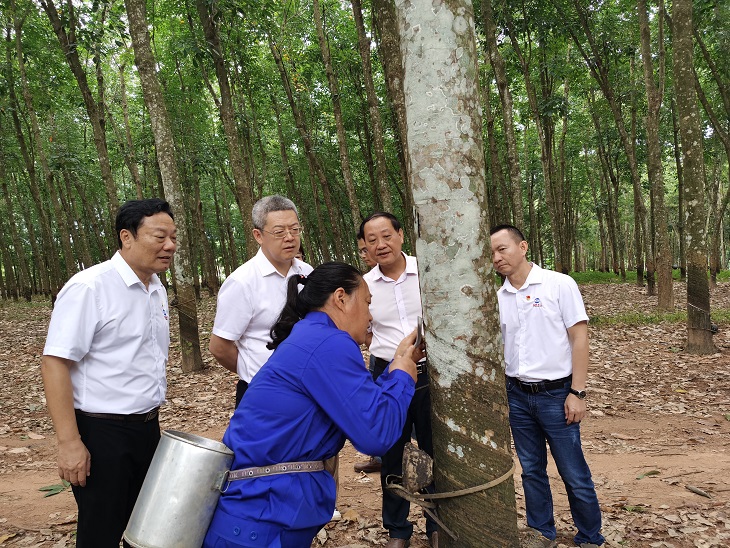 老哥俱乐部-老哥必备的交流社区