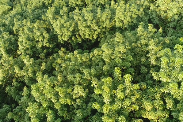 老哥俱乐部-老哥必备的交流社区