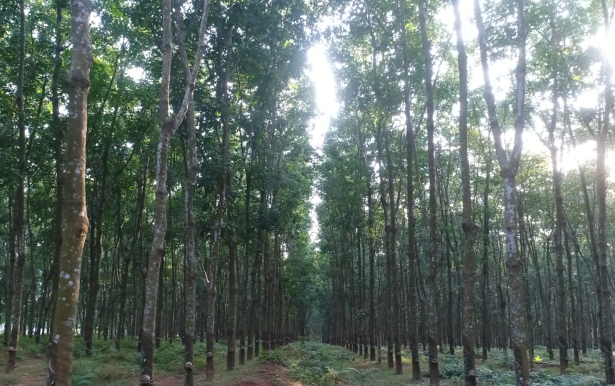 老哥俱乐部-老哥必备的交流社区