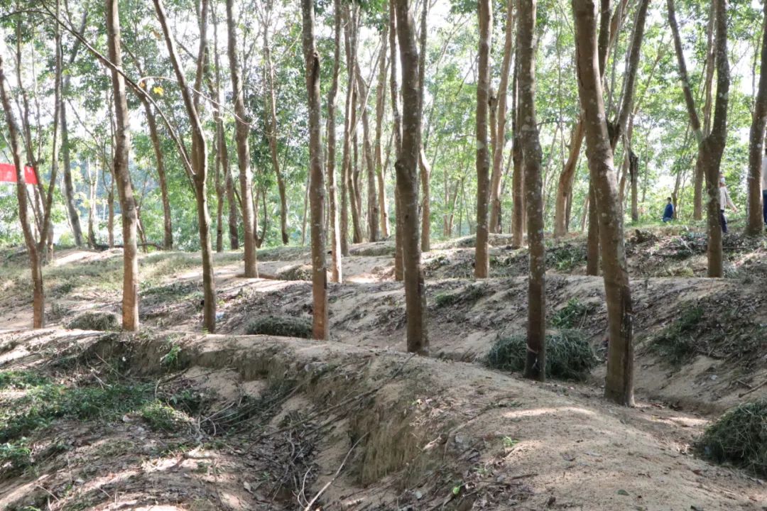 老哥俱乐部-老哥必备的交流社区