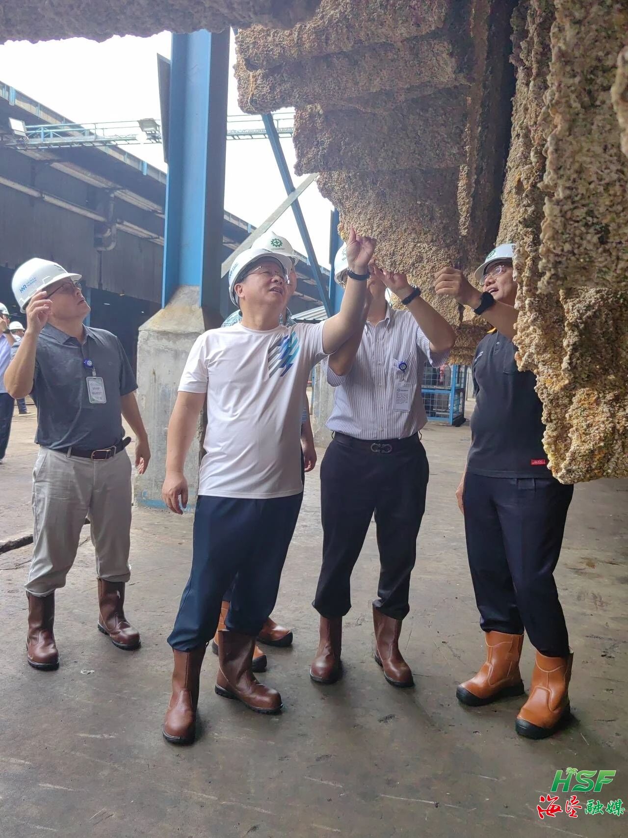 包洪文一行调研合盛农业SGO加工厂。。。。